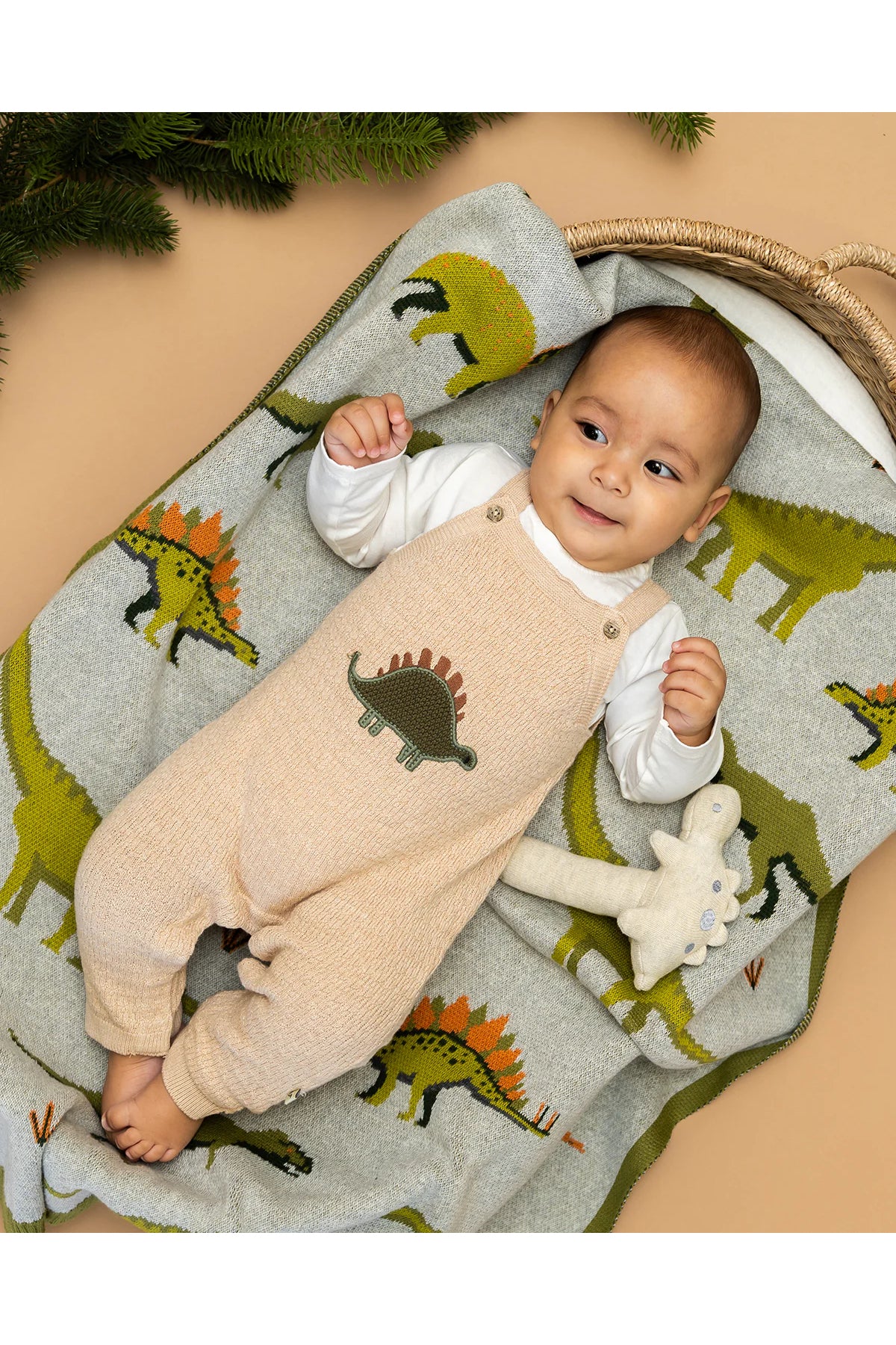 Dino Embroidered Baby Knit Overall Set