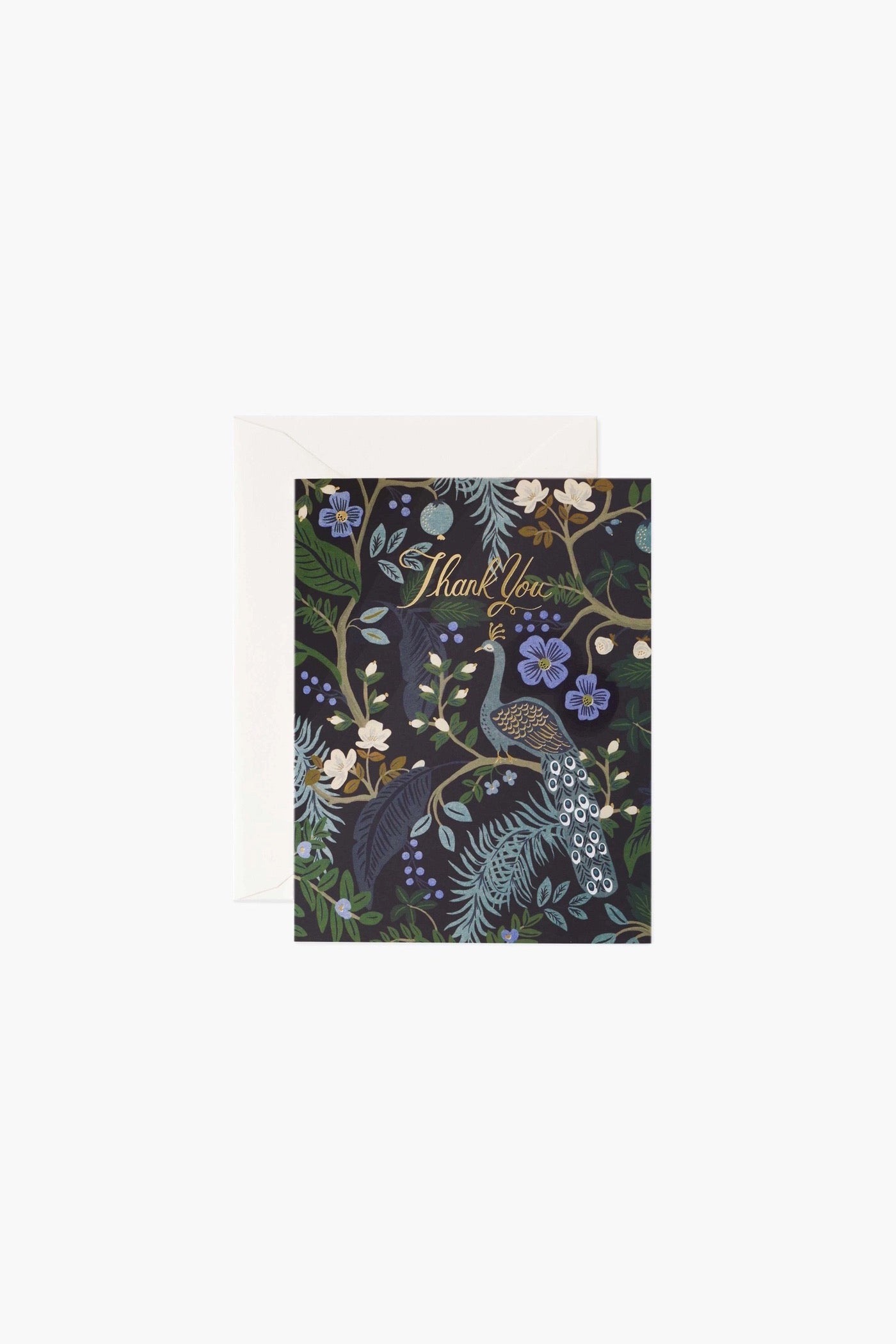 Peacock Thank You Cards Boxed Set