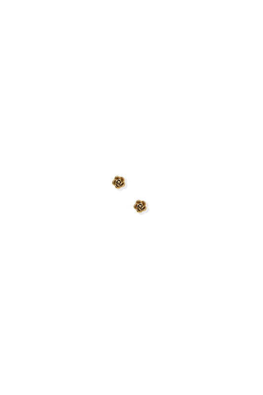 Rose Screwback Studs Gold