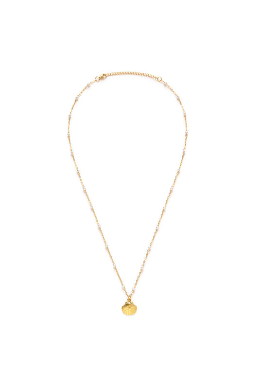 Scallop Shell And Pearl Necklace