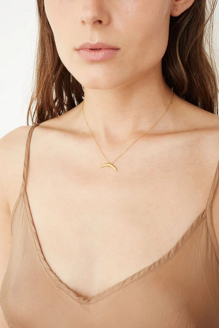 Gold Petite Horn Necklace