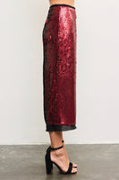 Sequin Mesh Midi Skirt