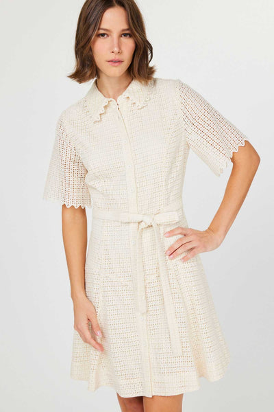 Punching Lace Button Down Dress