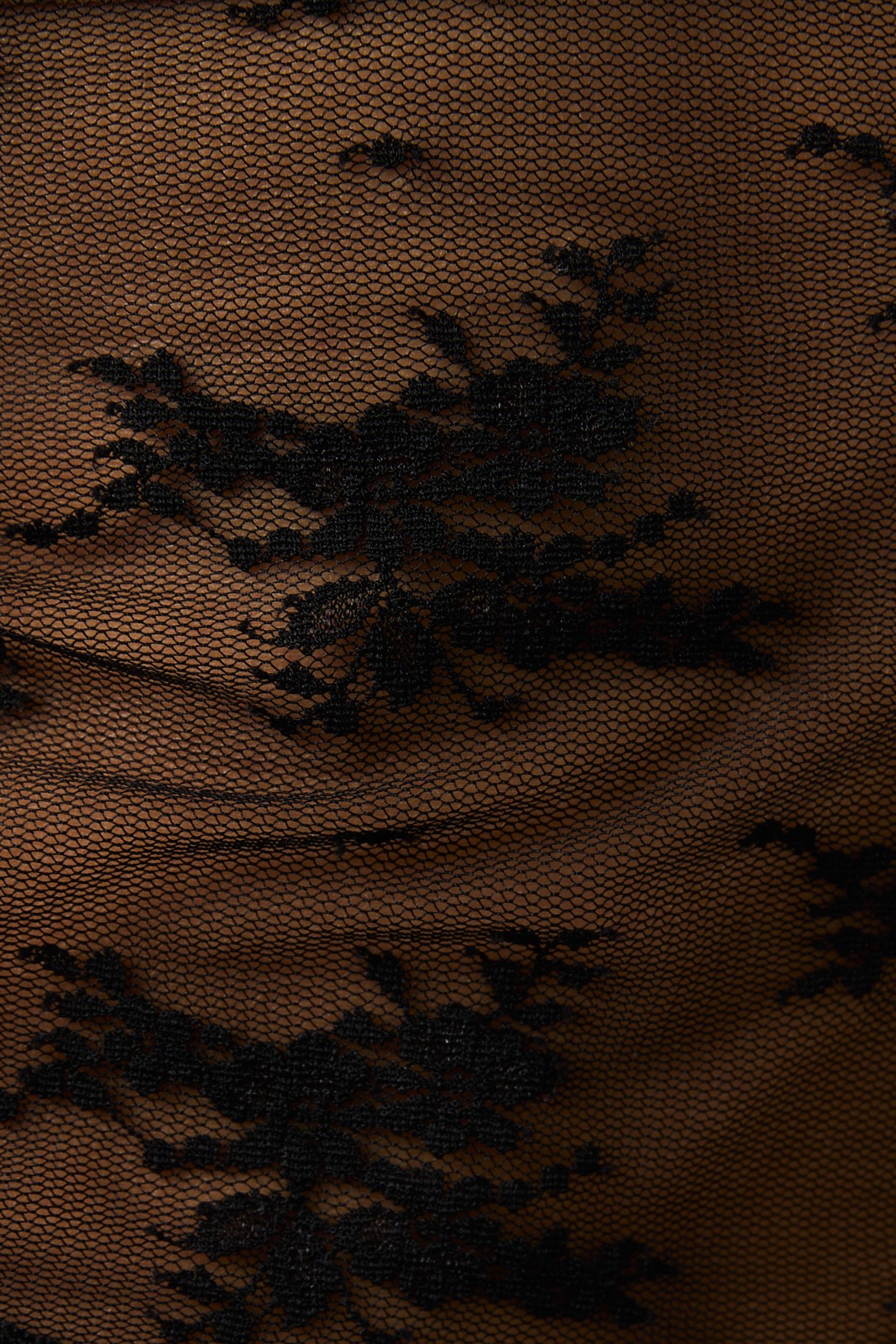 Sheer Lace Top