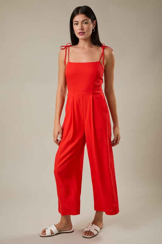 Front Pleat Smocked Back Jumpsuit