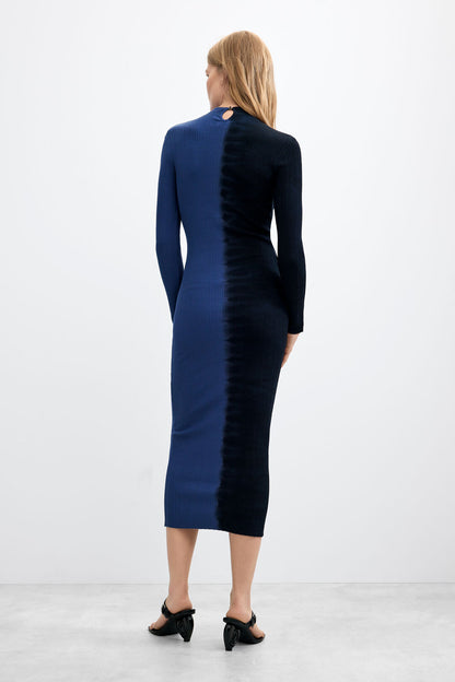 Two-Tone Long Sleeve Dress