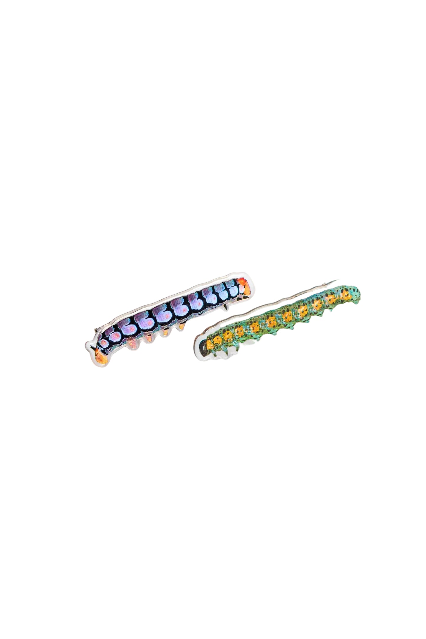 Allie Clips in Caterpillars