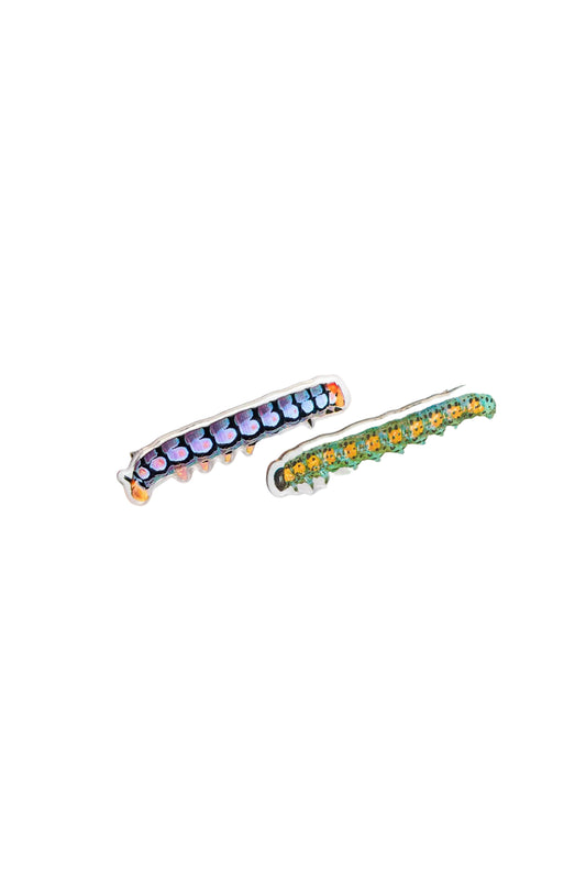 Allie Clips in Caterpillars