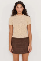 Aston Suede Mini Skirt