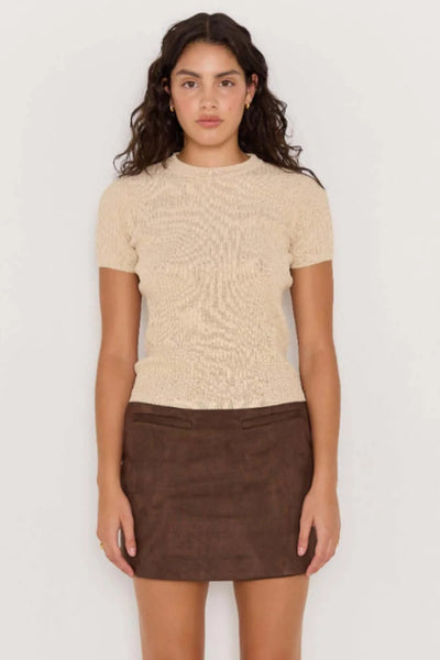Aston Suede Mini Skirt