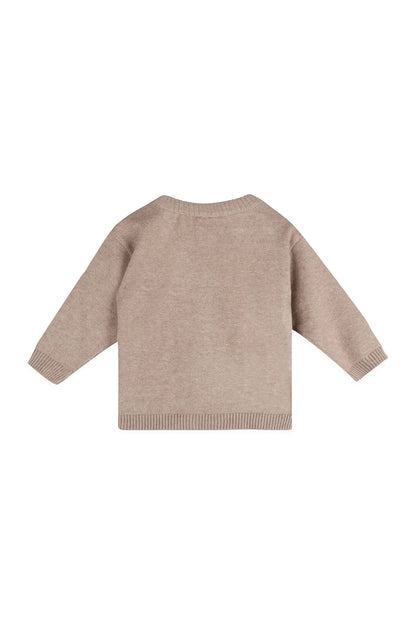 Bear Knit Baby Pullover & Pant Set