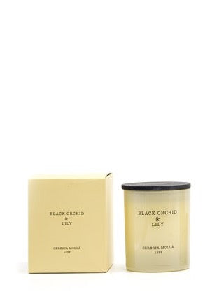 Black Orchid & Lily 8 oz Candle