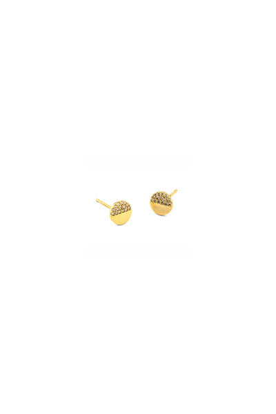 Circle with Pave Studs Gold