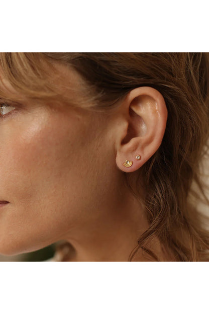 Crystal Starset Stud Earrings