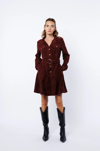 Laurie Faux Suede Mini Dress