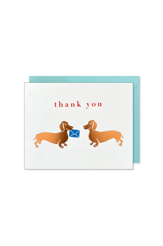 Dachshunds Thank You Card