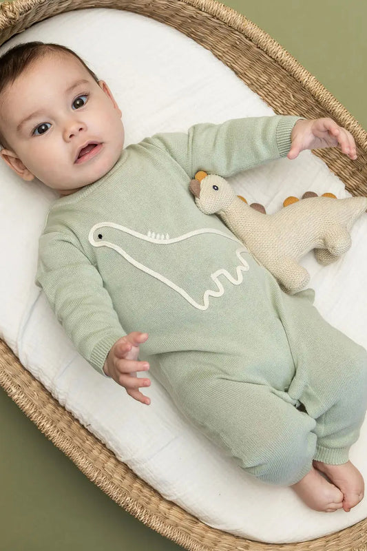 Dino Embroidered Baby Knit Jumpsuit