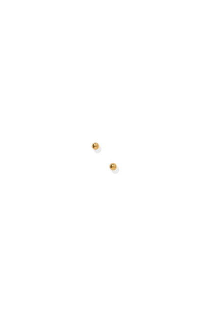 Evelyn Screwback Studs Gold