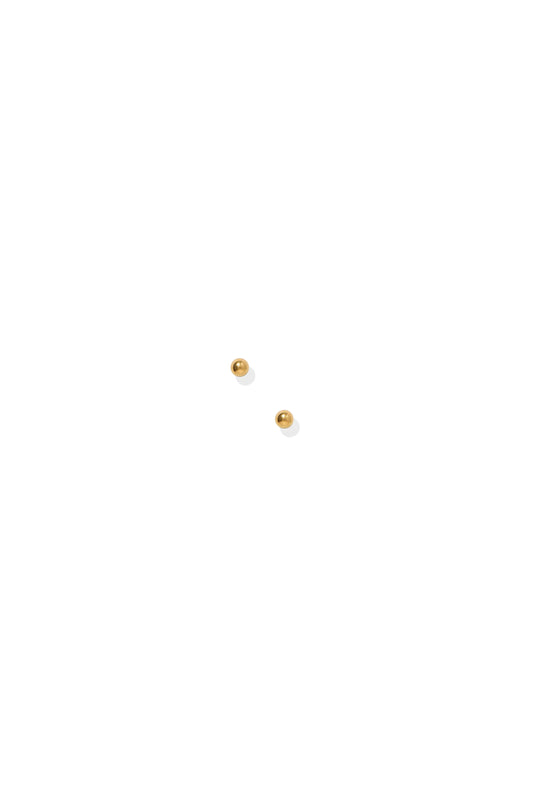 Evelyn Screwback Studs Gold