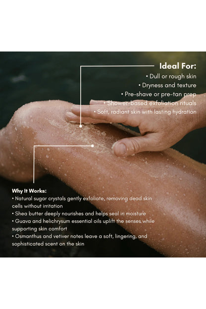 Guava Helichrysum Illuminating Shea Body Scrub