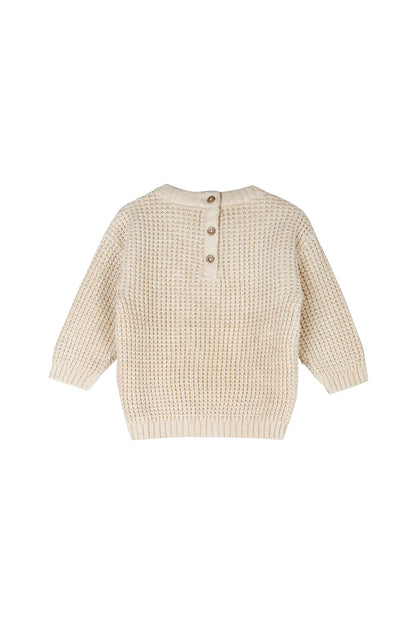 Little Dude Embroidered Baby Sweater
