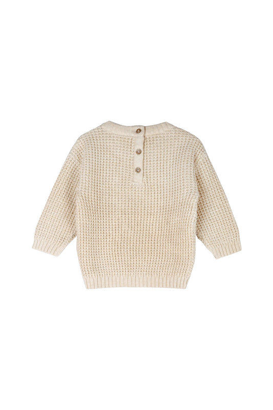 Little Dude Embroidered Baby Sweater