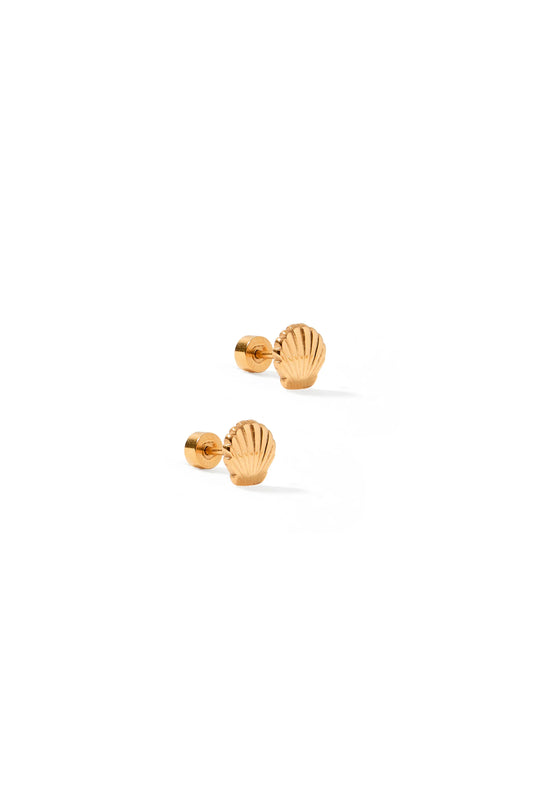 Marina Shell Screwback Studs