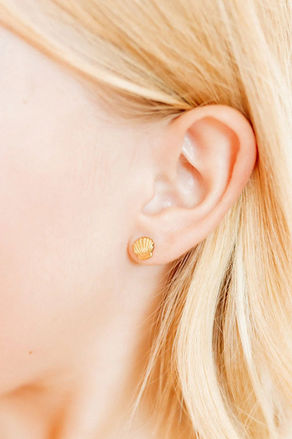 Marina Shell Screwback Studs