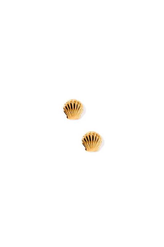 Marina Shell Screwback Studs