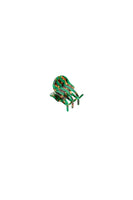 Mini Claw in Andi