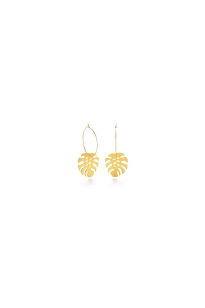 Monstera Hoops