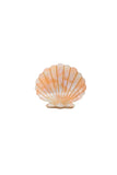 Oceane Seashell Claw Clip
