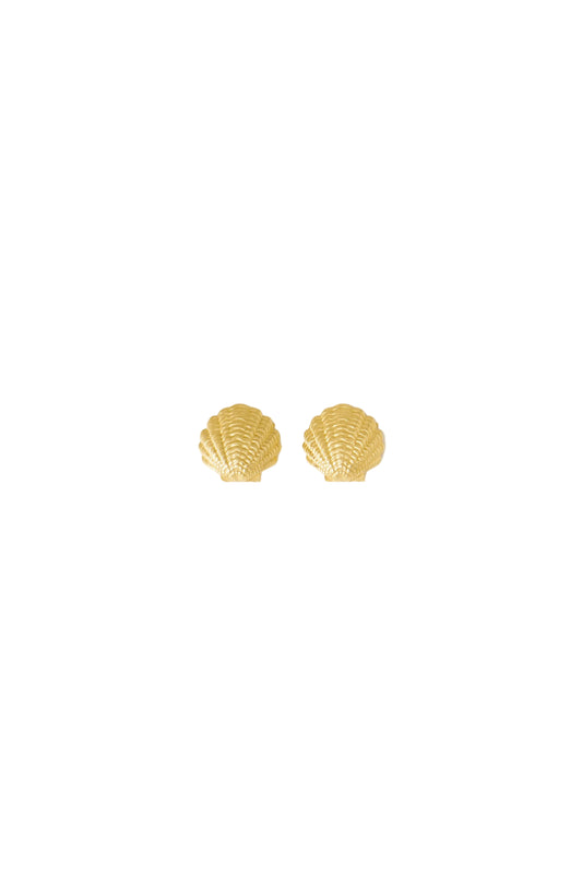 Pearl Shell Post Earrings