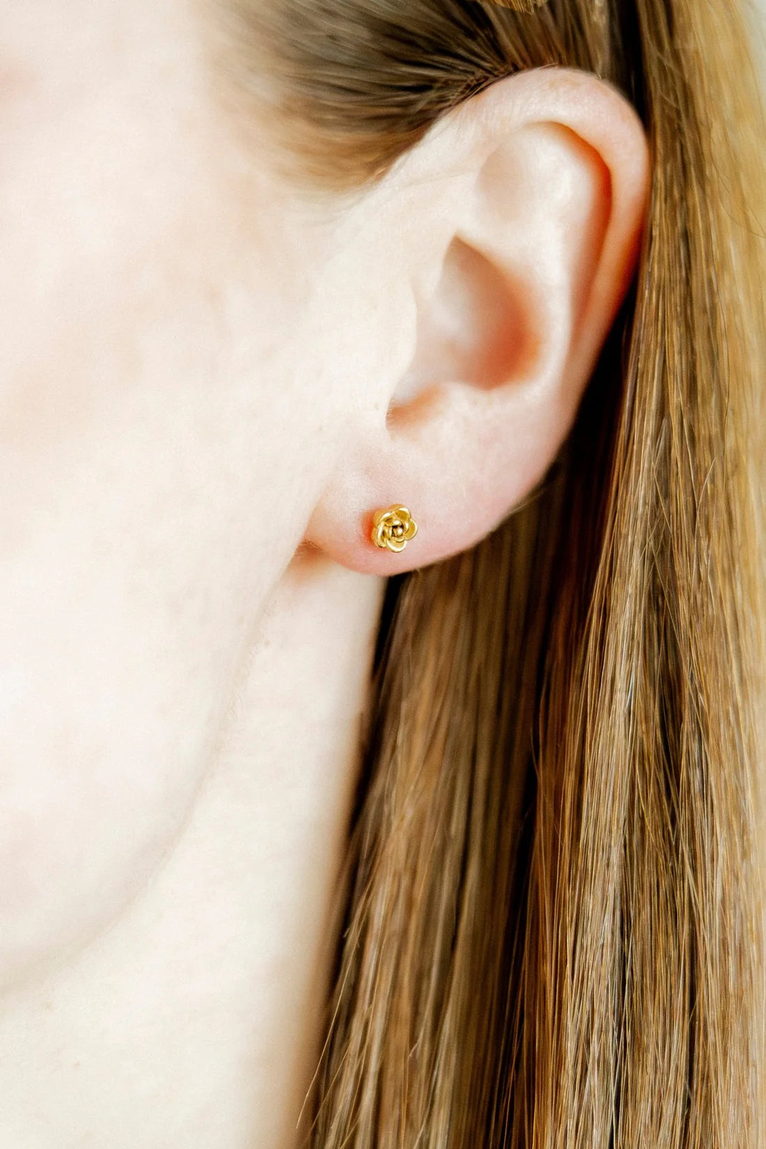 Rose Screwback Studs Gold