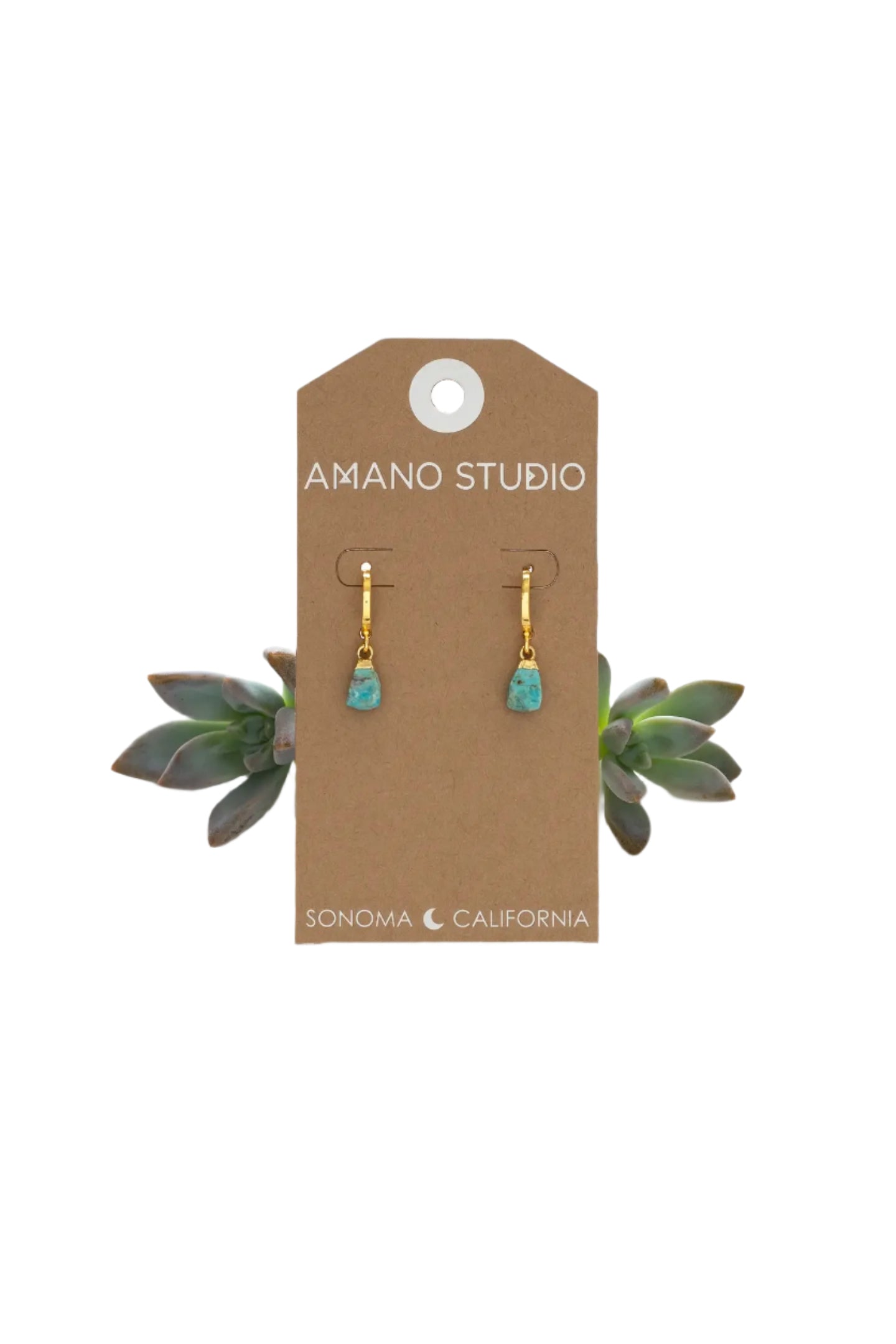 Rough Cut Turquoise Huggies