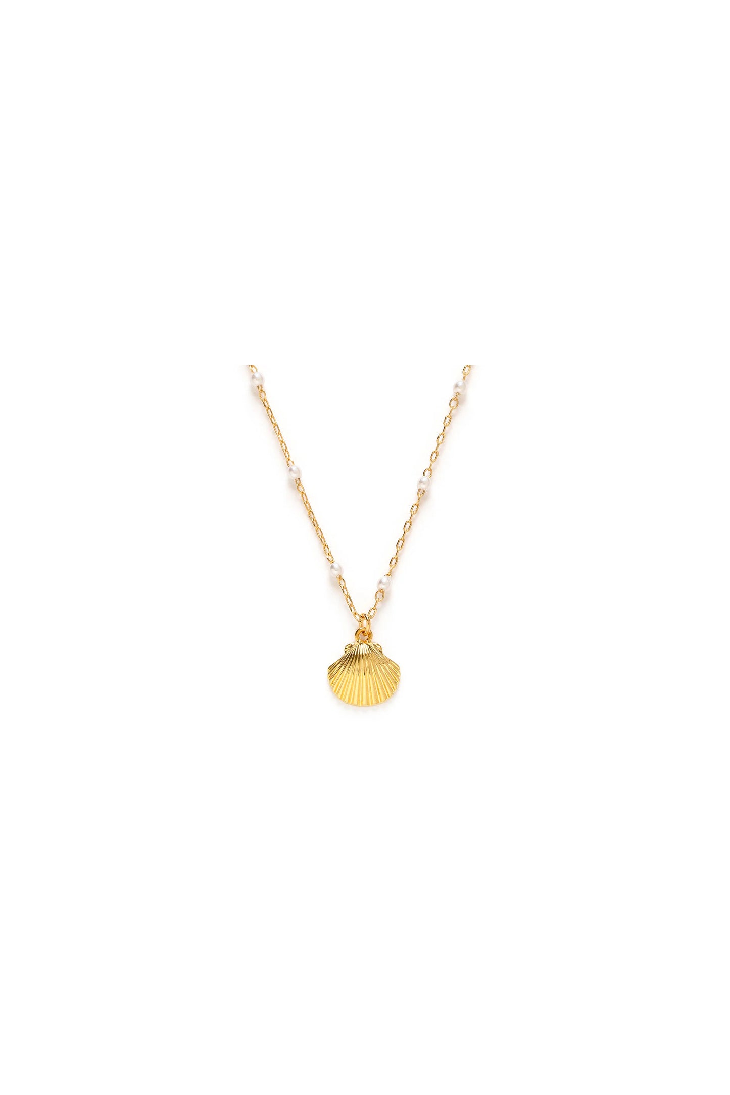 Scallop Shell And Pearl Necklace