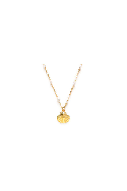 Scallop Shell And Pearl Necklace