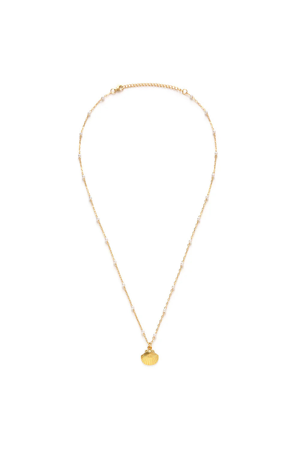 Scallop Shell And Pearl Necklace