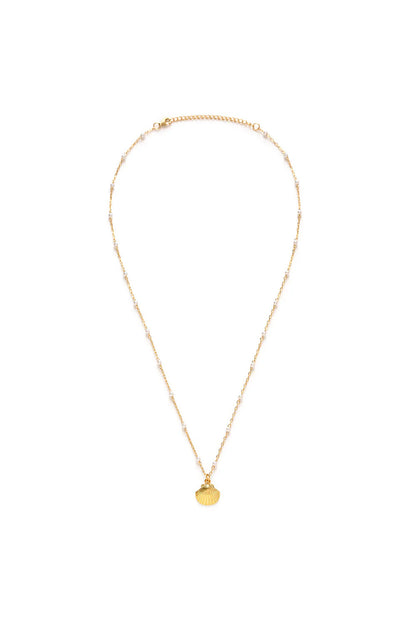Scallop Shell And Pearl Necklace