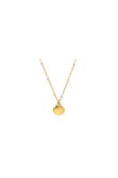 Scallop Shell And Pearl Necklace