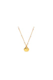 Scallop Shell And Pearl Necklace