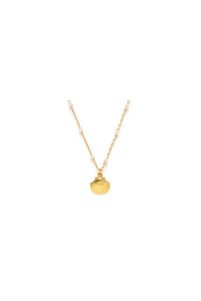 Scallop Shell And Pearl Necklace