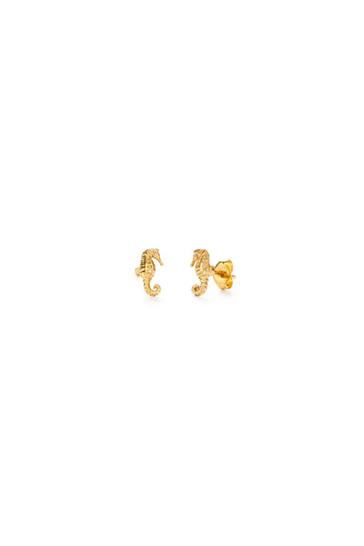 Seahorse Stud Earrings