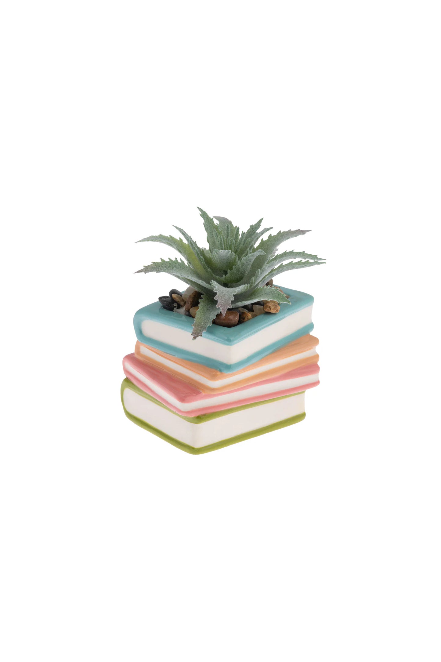 Shaped Succulent Pot Books