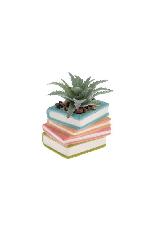 Shaped Succulent Pot Books