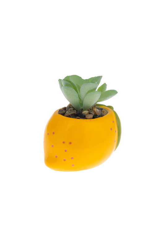Shaped Succulent Pot Lemon