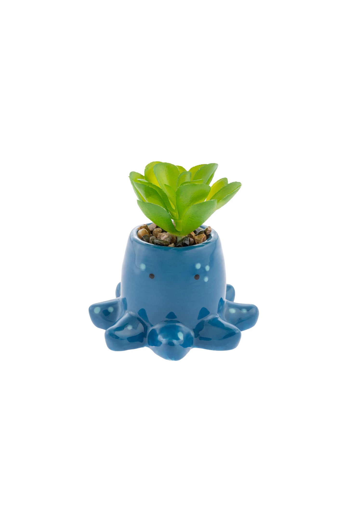 Shaped Succulent Pot Octopus
