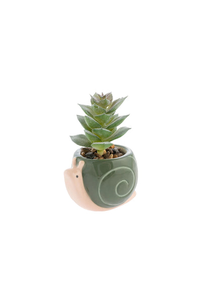 Shaped Succulent Pot Snail
