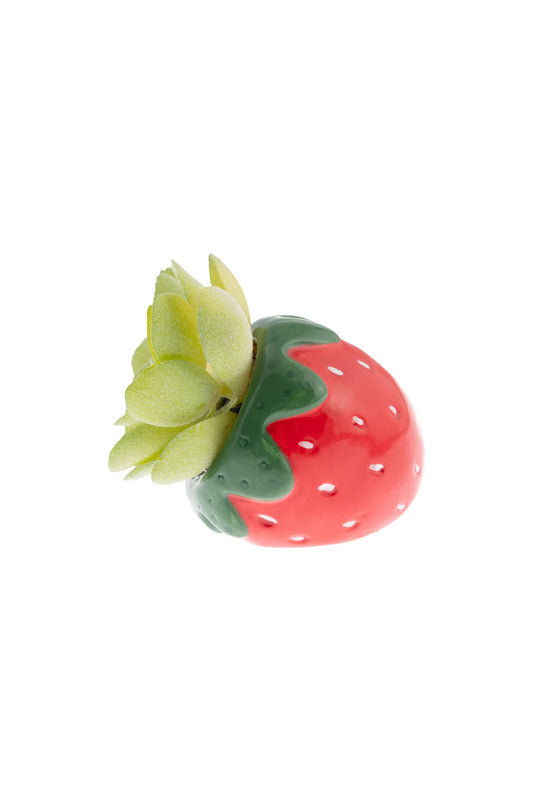 Shaped Succulent Pot Strawberry