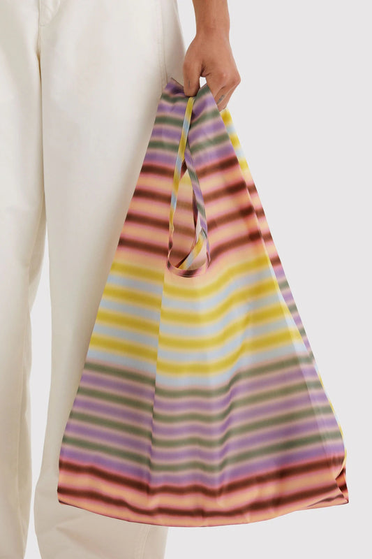 Standard Baggu Gradient Stripe Multi